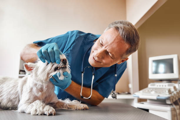 Best Emergency Tooth Extraction in Detroit, MI